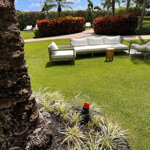 mosquito-trap-trappola-zanzare