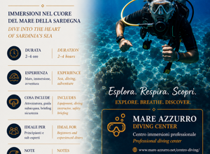 escursione%20delfini%20con%20dettagli