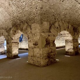 Criptoportico Forense