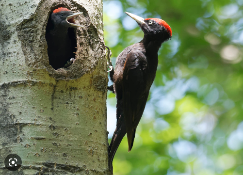 51e96b26-ba5d-4526-8b67-1b8c085dff87