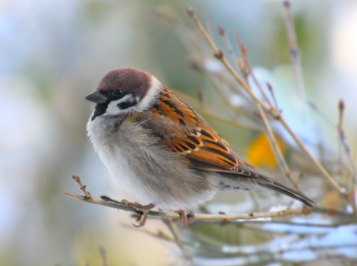 6278e8ba-9d7a-4423-a8eb-2ee173edc544