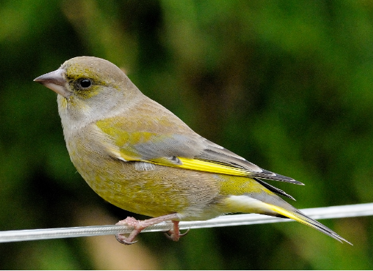 1708c304-8d80-494a-87e5-fa03c7dbd92f