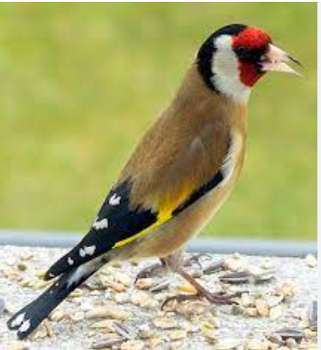 90ce1df2-bcb1-49dd-95ac-808ecc49016b