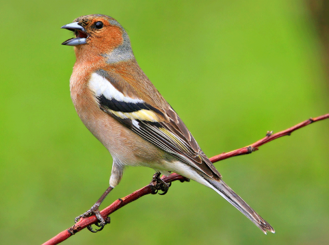 75089482-b26d-4cc5-8535-d53bc8fb3cce