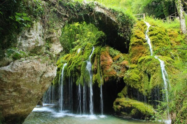 baa55e67-9ff5-49ec-a2ea-4284bb2bb378