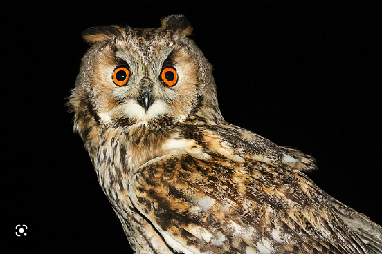 269b9f96-d53a-46df-beba-8b6c71db9f44 269b9f96-d53a-46df-beba-8b6c71db9f44