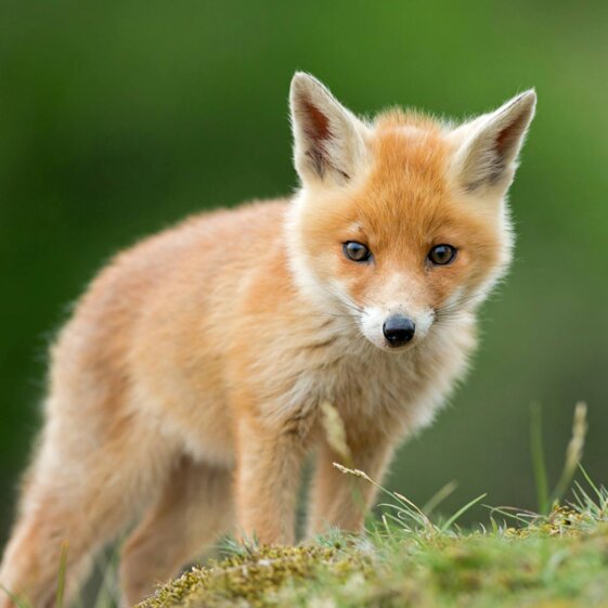 d5f9eda1-2138-4a54-88b9-67addfecc96a