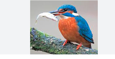 ef0334cd-6523-4f24-945d-b1be3ddef461