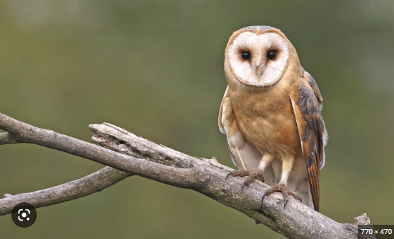 92939253-4ccb-47eb-8b0e-592ab0a623b6