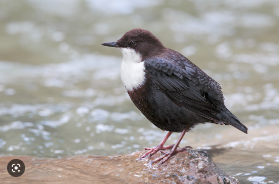 44ea40ea-87a2-4b24-b348-bc0930c03820