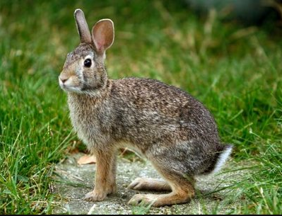 30526926-4ee0-4730-b902-29fcb4fb2db0