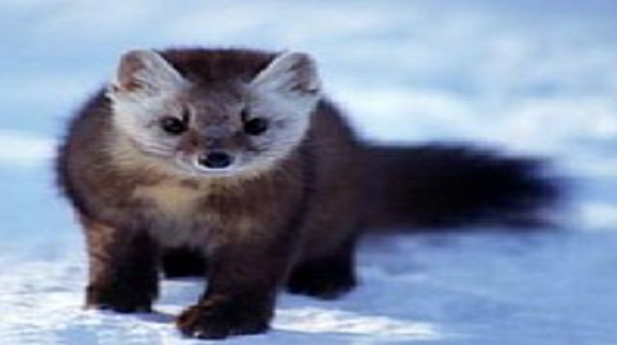 992854eb-10dc-46d5-8b16-dd778b9c6b5e