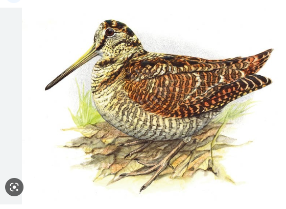 ee29f394-b154-46fd-ab8f-66313ee8f67f