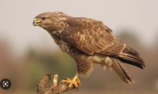 f0283471-1e74-4b07-94f4-7182b169910b f0283471-1e74-4b07-94f4-7182b169910b