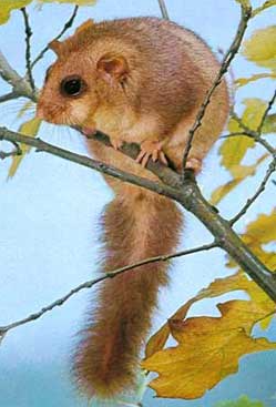 7c97635f-2caa-472e-a771-6866431439e8