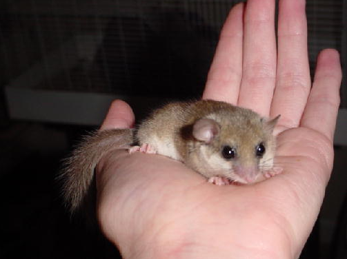 99fe6ab8-8206-44f3-9e48-dedfb6c96b55