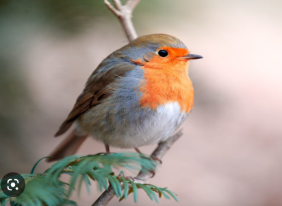 ae17ba35-58a9-4d49-a3c3-0b71381086e1