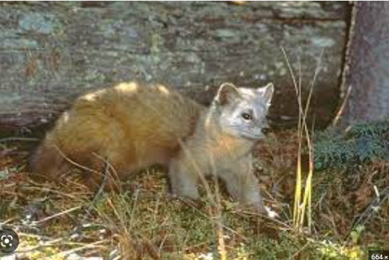 28db34e6-2e9a-453d-ada6-d48c88584de5