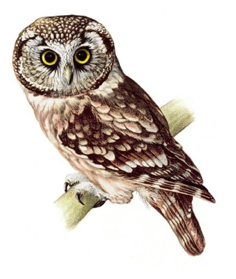 f45bc839-1ed2-40f9-bb2a-e76d03897482