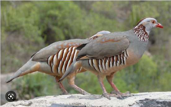 dd9e21a0-2546-41fb-a22b-5e5138a49c03 dd9e21a0-2546-41fb-a22b-5e5138a49c03