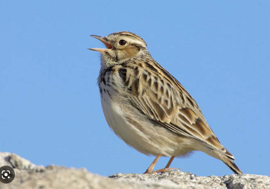 46b88019-a0b7-4b65-8e6e-a527f07733c4