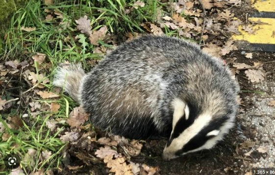 fd46998b-a7ef-4c31-9985-2cef8939438c