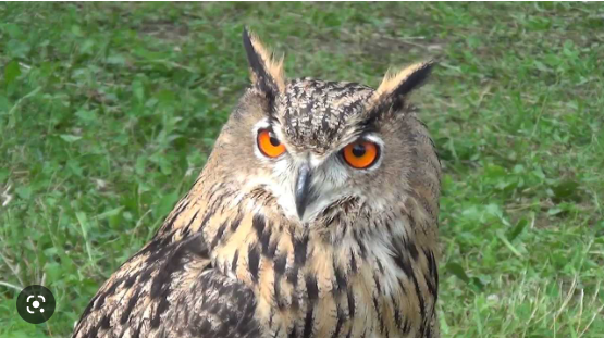 c5484002-4f4a-4450-96b6-236773489ccc