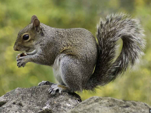 6f54f261-8a72-4716-adee-19a7948574e6