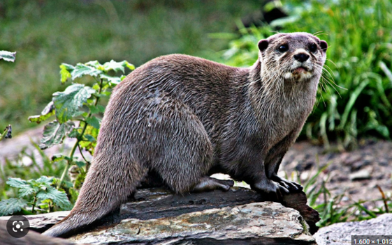 1d185070-0baa-46fc-ad43-3b99db14e7ba