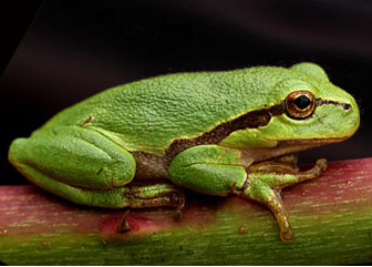 96b5da9f-5f5b-476d-9053-f44b8b341df9