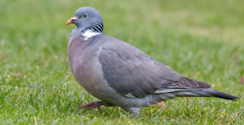 dc883ff7-f68d-408e-a086-4d92a953d34e dc883ff7-f68d-408e-a086-4d92a953d34e