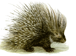 aedbaa41-b6df-4769-a086-59a6ee9ccff0