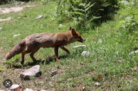 bf8b3c20-e8f7-43b4-b14c-6d9872f47afd