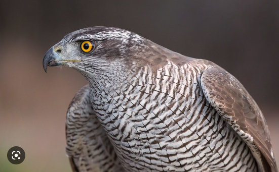 96e4871c-7ad8-48d5-a490-63f5b6a4a75e 96e4871c-7ad8-48d5-a490-63f5b6a4a75e