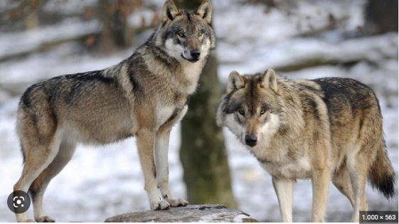 524d8d51-7104-4d33-b71f-24e285aa932a