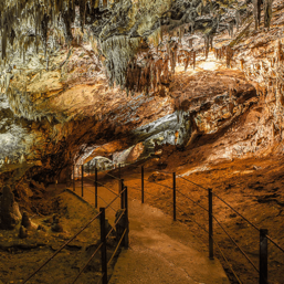 f6ae713b-a758-4916-8595-253ee1e533b2