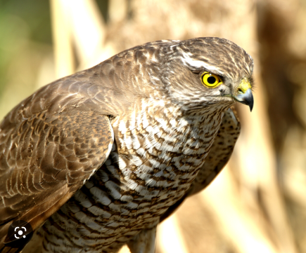 145c42c5-93e4-4c61-8a32-a2cb188a90a6