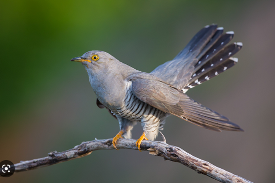 853cd04b-d804-4710-96a8-1f60b3236238 853cd04b-d804-4710-96a8-1f60b3236238