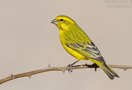 62355d50-d091-4ea2-aa4f-c71322729e10