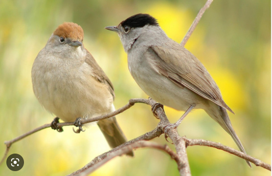 fe2b0de9-da9e-4999-9f9c-90849d4c3473