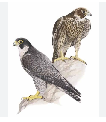 1e06d0f9-4f30-4ffe-9695-ab50da7d39e8 1e06d0f9-4f30-4ffe-9695-ab50da7d39e8