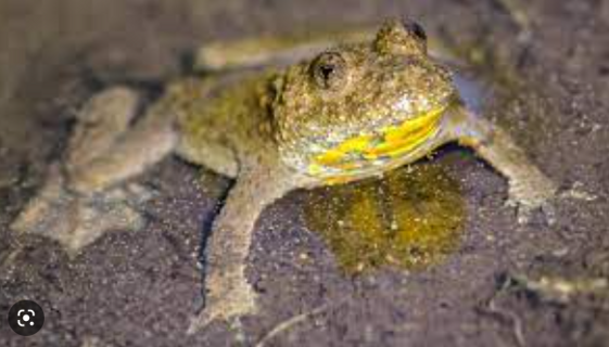 980df7f3-77b1-4d1f-bbdf-b27f22bf3b12