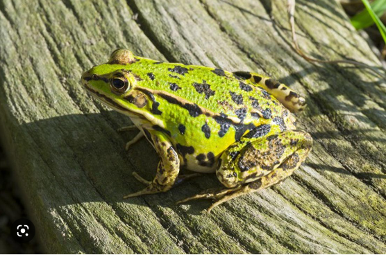 d3e76290-ff48-47f6-b214-2e63e247fee4