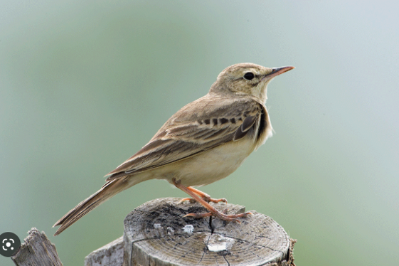 023d5093-dd17-4184-9218-140a342a07a5