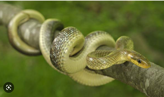 16889de6-29b9-47d6-9a95-a561d8f5bf75