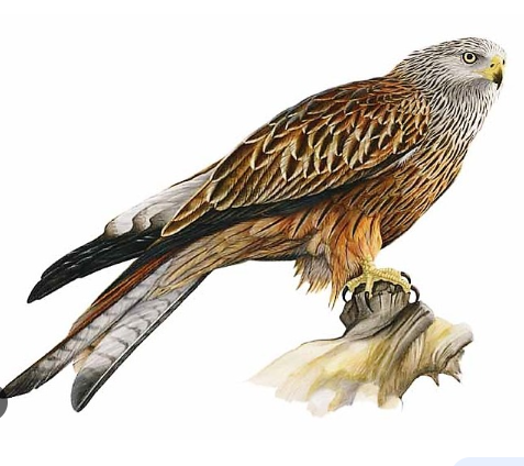 d69b3af7-5c34-42b6-8472-02028517c38c d69b3af7-5c34-42b6-8472-02028517c38c