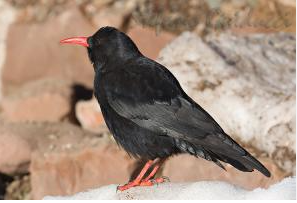 4a583986-7673-4682-acfd-8aa3ae0a51f2