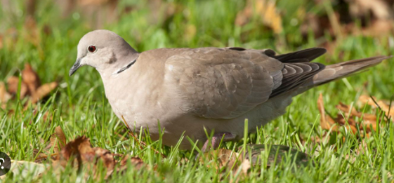 39108195-96ee-437b-8561-90a584f564d8 39108195-96ee-437b-8561-90a584f564d8