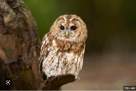 05611b7a-7df0-488b-a2e4-995190f52df5 05611b7a-7df0-488b-a2e4-995190f52df5