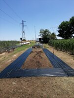 offerta-kit-completo-lettiera-in-offerta-da-2-mq